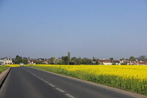 Monte Escalier Entreprise Entreprise monte escalier Noiseau