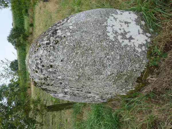 Monte Escalier Entreprise Entreprise monte escalier Plaintel