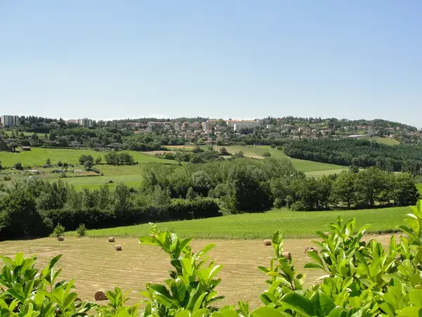 Monte Escalier Entreprise Entreprise monte escalier Saint-Genest-Lerpt